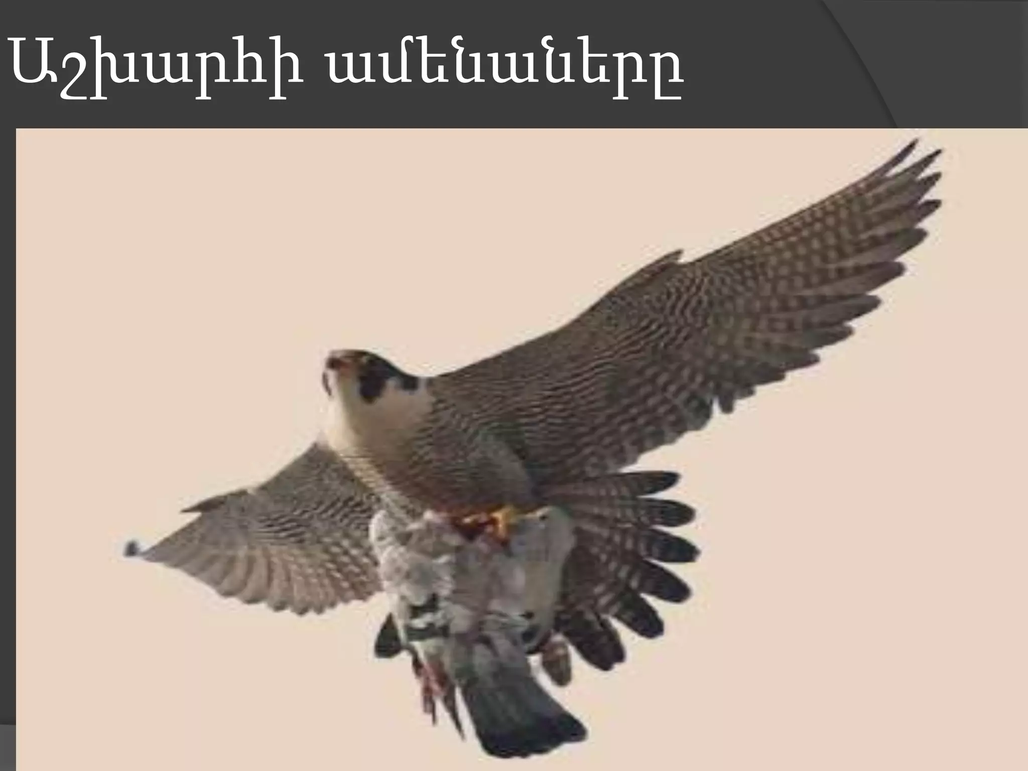 Աշխարհի ամենաները