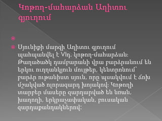 
 Սյունիքի մարզի Աղիտու գյուղում
պահպանվել է VIդ. կոթող-մահարձանֈ
Թաղածածկ դամբարանի վրա բարձրանում են
երկու ուղղանկյուն մույթեր, կենտրոնում`
բարձր ութանիստ սյուն, որը պսակվում է ճոխ
մշակված ոլորազարդ խոյակովֈ Կոթողի
տարբեր մասերը զարդարված են նռան,
խաղողի, երկրաչափական, բուսական
զարդաքանդակներով:
 