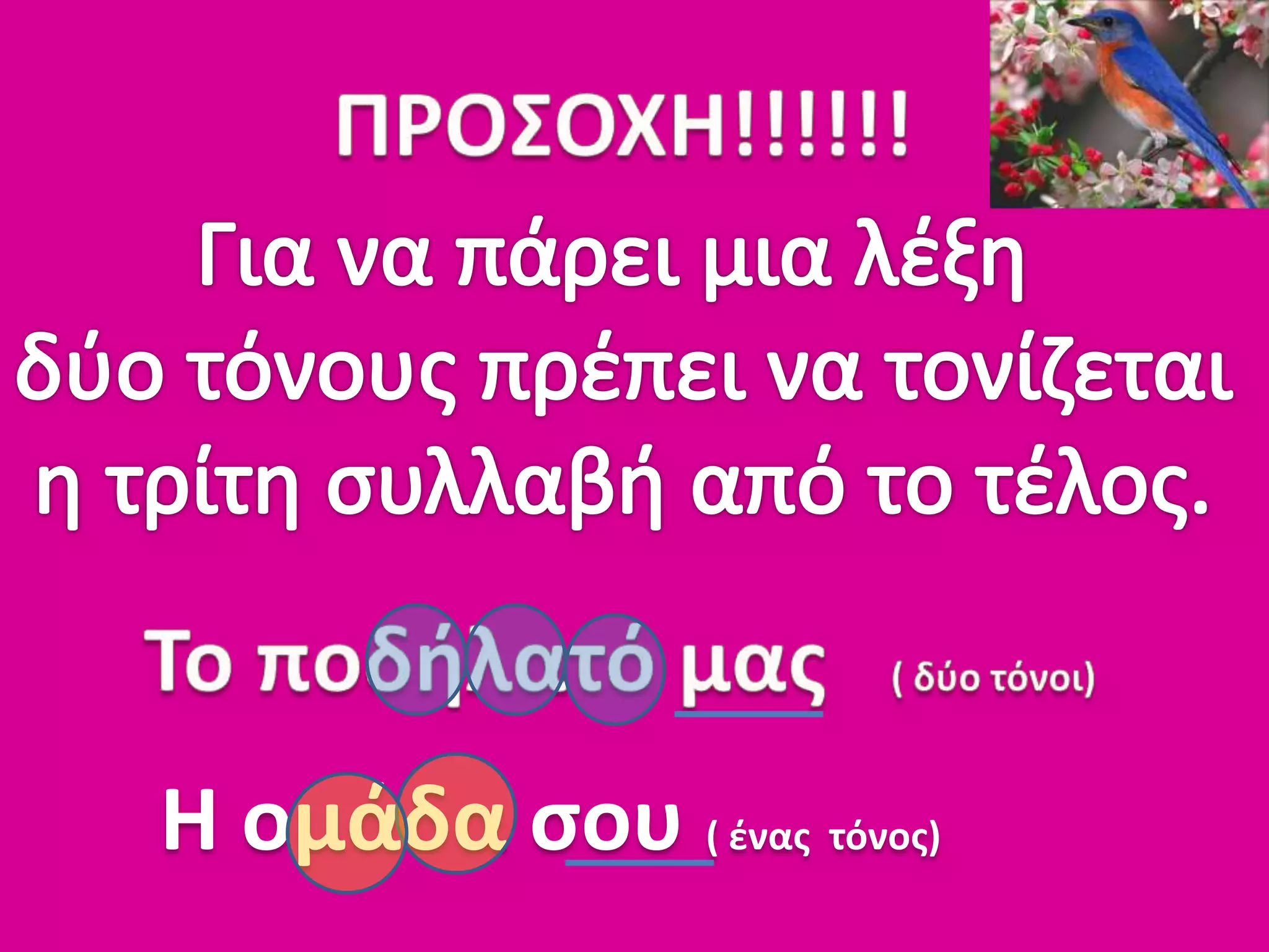 Η ομάδα σου ( ένας τόνος)
 