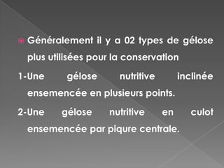    Généralement il y a 02 types de gélose
    plus utilisées pour la conservation

1-Une        gélose      nutritive        inclinée
    ensemencée en plusieurs points.

2-Une      gélose     nutritive      en     culot
    ensemencée par piqure centrale.
 