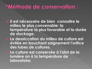  Il est nécessaire de bien connaitre le
  milieu le plus convenable: la
  température la plus favorable et la durée
  de stockage.
 La dessiccation du milieu de culture est
  évitée en bouchant saignement l'orifice
  des tubes de cultures.
 La culture est conservée à l'abri de la
  lumière on à la température de
  laboratoire.
 