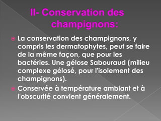  La conservation des champignons, y
  compris les dermatophytes, peut se faire
  de la même façon, que pour les
  bactéries. Une gélose Sabouraud (milieu
  complexe gélosé, pour l'isolement des
  champignons).
 Conservée à température ambiant et à
  l'obscurité convient généralement.
 