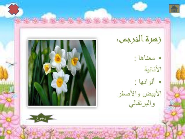 انواع الزهور