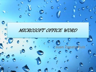 Microsoft Office Word