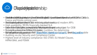 Booz Allen Hamilton Lotus F1 Projectline
 