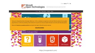https://msopentech.com/
 