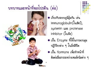 Œ              (‹)
                               Œ   ‹
                immunoglobulin(
                immunoglobulin(      ),,
                                     )
                                     
                systemin     protenase
                inhibitor ( )
                  š Enzyme Œ
                        ‹
                   š Hormone           Œ
                     ‹       ‹     ‹
    By Thanyamon C.                        42
 