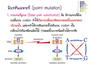 (point
               (point mutation)
1.      ‹   (Base-pair substitution)
             Base-      substitution)         Œ
        codon      Œ
          ‹      Œ                   codon
                     Œ(                 Œ Œ
     ‹ 1 )




                      By Thanyamon C.             44
 