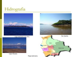 Hidrografia
Lago boliviano Uru Uru.
Rio Ubuña.
Mapa boliviano.
Lago titicaca.
 