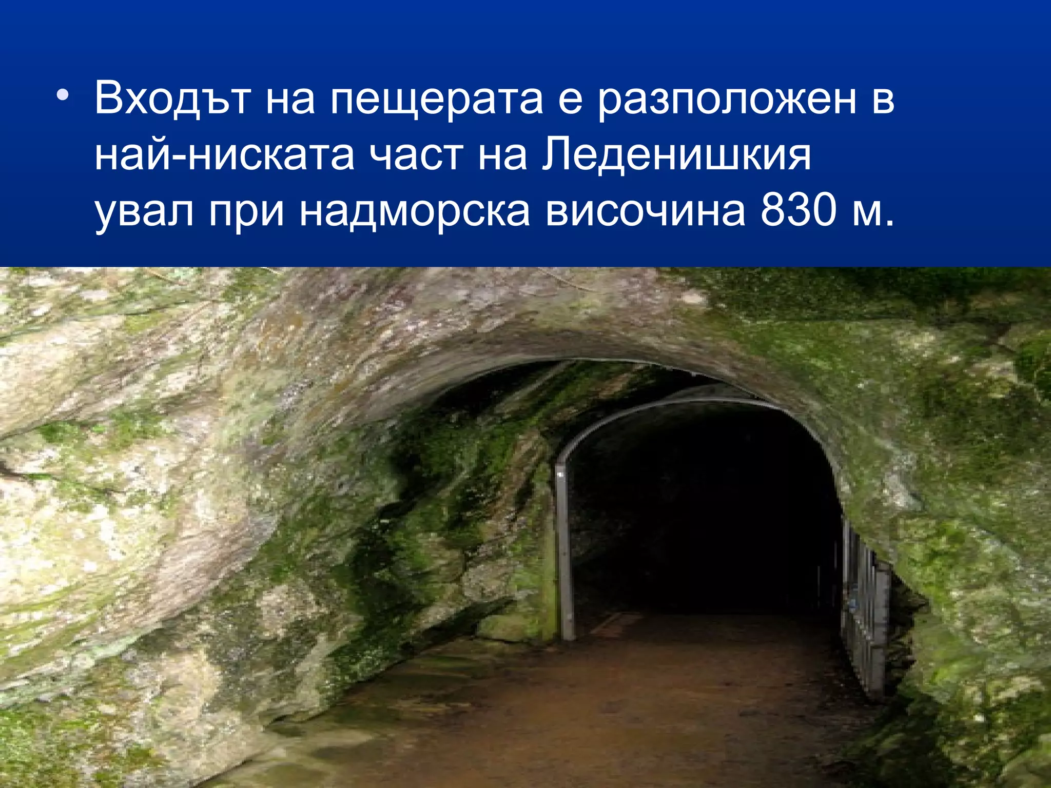 • Входът на пещерата е разположен в
най-ниската част на Леденишкия
увал при надморска височина 830 м.
 