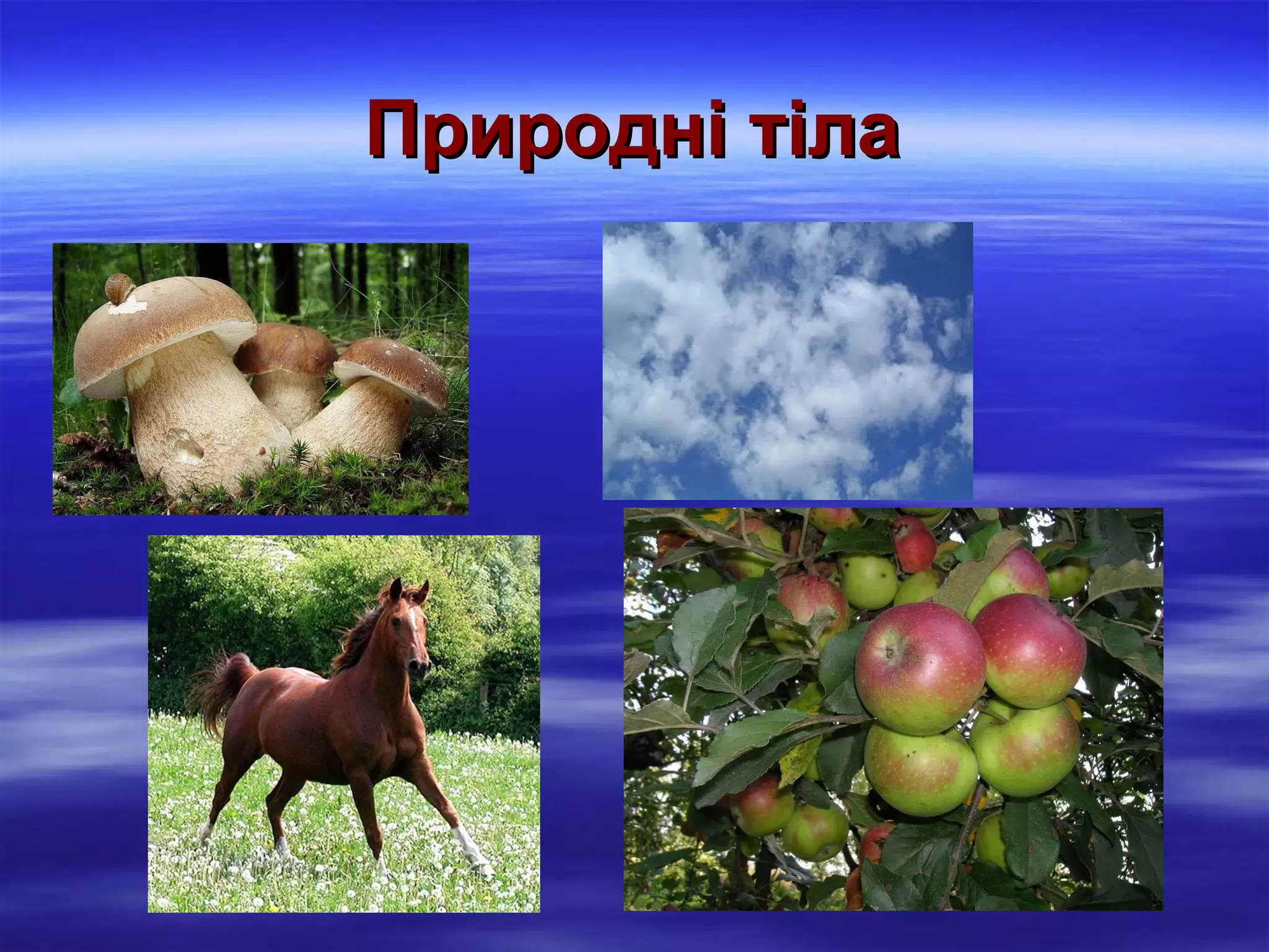 Природні тіла

 