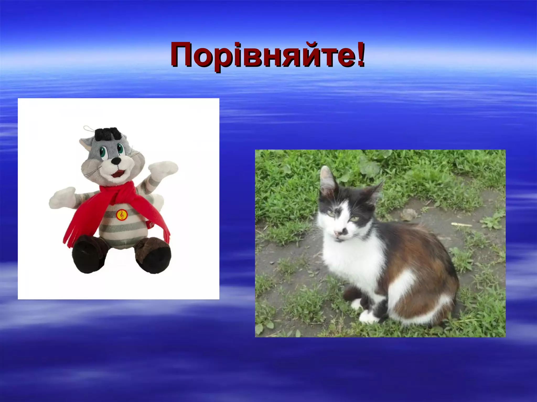 Порівняйте!

 