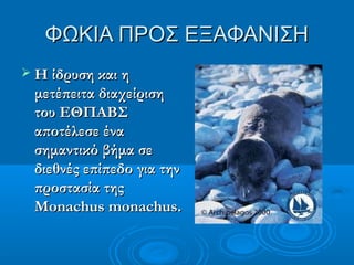 ΦΩΚΙΑ ΠΡΟΣ ΕΞΑΦΑΝΙΣΗ
 Η ίδρυση και η

μετέπειτα διαχείριση
του ΕΘΠΑΒΣ
αποτέλεσε ένα
σημαντικό βήμα σε
διεθνές επίπεδο για την
προστασία της
Monachus monachus.

 