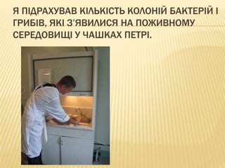 мікробіологічні дослідження. | PPT