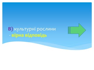 В) культурні рослини 
- вірна відповідь 
 