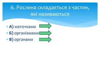 6. Рослина складається з частин, 
які називаються 
 А) маточками 
 Б) організмами 
 В) органами 
 