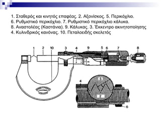 1. Σταθερός και κινητός επαφέας. 2. Αξονίσκος. 5. Περικόχλιο.
6. Ρυθμιστικό περικόχλιο. 7. Ρυθμιστικό περικόχλιο κάλυκα.
8. Αναστολέας (Καστάνια). 9. Κάλυκας. 3. Έκκεντρο ακινητοποίησης
4. Κυλινδρικός κανόνας. 10. Πεταλοειδής σκελετός
 