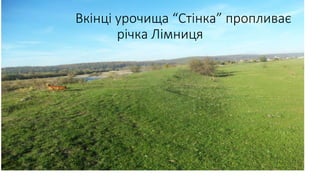 Вкінці урочища “Стінка” пропливає
річка Лімниця
 