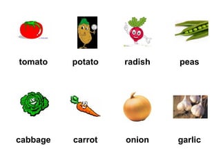 tomato potato radish peas
cabbage carrot onion garlic
 