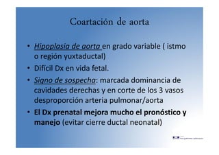 Coartación de aorta
• Hipoplasia de aorta en grado variable ( istmo
o región yuxtaductal)
• Difícil Dx en vida fetal.
• Signo de sospecha: marcada dominancia de
cavidades derechas y en corte de los 3 vasos
desproporción arteria pulmonar/aorta
• El Dx prenatal mejora mucho el pronóstico y
manejo (evitar cierre ductal neonatal)
 