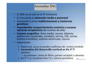 Anomalías SNC
• El 30% no se ven en el 2º trimestre.
• Es frecuente su detección tardía o postnatal
• Asociación a otras malformaciones y trastornos
genéticos
• Impredecible comportamiento evolutivo y escasas
opciones terapéuticas de muchas de ellas
• Examen ecográfico: línea media, cavum, tálamos,
pedúnculos cerebrales, cerebelo, vermis, CM, surcos
corteza encefálica, sistema ventricular, cisuras
• Importante:
 Hasta sem. 24 no se pueden confirmar alt. vermis/cerebelo
 Anomalías del desarrollo cortical se Dx 3º T
(cisuras)
> 24 semanas: cisura de Silvio, parieto occipital y calcarina
 En 3º T se visualizan bien CC y arteria pericallosa
 