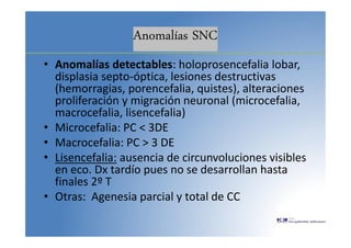 Anomalías SNC
• Anomalías detectables: holoprosencefalia lobar,
displasia septo-óptica, lesiones destructivas
(hemorragias, porencefalia, quistes), alteraciones
proliferación y migración neuronal (microcefalia,
macrocefalia, lisencefalia)
• Microcefalia: PC < 3DE
• Macrocefalia: PC > 3 DE
• Lisencefalia: ausencia de circunvoluciones visibles
en eco. Dx tardío pues no se desarrollan hasta
finales 2º T
• Otras: Agenesia parcial y total de CC
 