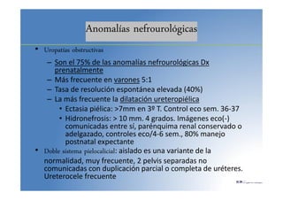 Anomalías nefrourológicas
• Uropatías obstructivas
– Son el 75% de las anomalías nefrourológicas Dx
prenatalmente
– Más frecuente en varones 5:1
– Tasa de resolución espontánea elevada (40%)
– La más frecuente la dilatación ureteropiélica
• Ectasia piélica: >7mm en 3º T. Control eco sem. 36-37
• Hidronefrosis: > 10 mm. 4 grados. Imágenes eco(-)
comunicadas entre sí, parénquima renal conservado o
adelgazado, controles eco/4-6 sem., 80% manejo
postnatal expectante
• Doble sistema pielocalicial: aislado es una variante de la
normalidad, muy frecuente, 2 pelvis separadas no
comunicadas con duplicación parcial o completa de uréteres.
Ureterocele frecuente
 
