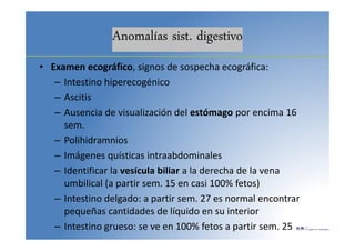 Anomalías sist. digestivo
• Examen ecográfico, signos de sospecha ecográfica:
– Intestino hiperecogénico
– Ascitis
– Ausencia de visualización del estómago por encima 16
sem.
– Polihidramnios
– Imágenes quísticas intraabdominales
– Identificar la vesícula biliar a la derecha de la vena
umbilical (a partir sem. 15 en casi 100% fetos)
– Intestino delgado: a partir sem. 27 es normal encontrar
pequeñas cantidades de líquido en su interior
– Intestino grueso: se ve en 100% fetos a partir sem. 25
 