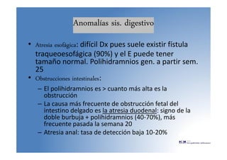Anomalías sis. digestivo
• Atresia esofágica: difícil Dx pues suele existir fístula
traqueoesofágica (90%) y el E puede tener
tamaño normal. Polihidramnios gen. a partir sem.
25
• Obstrucciones intestinales:
– El polihidramnios es > cuanto más alta es la
obstrucción
– La causa más frecuente de obstrucción fetal del
intestino delgado es la atresia duodenal: signo de la
doble burbuja + polihidramnios (40-70%), más
frecuente pasada la semana 20
– Atresia anal: tasa de detección baja 10-20%
 