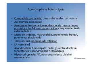 Acondroplasia heterocigota
• Compatible con la vida, desarrollo intelectual normal
• Autosómica dominante
• Acortamiento rizomélico moderado de huesos largos
posterior a las 24 sem. de gestación + arqueamiento de
extremidades
• Mano en tridente, macrocefalia, prominencia frontal,
puente nasal aplanado
• Tórax normal, no signos de letalidad
• LA normal o
• Acondroplasia homocigota: hallazgos entre displasia
tanatofórica y acondroplasia heterocigota
• Hipoacodroplasia: AD, no arqueamiento tibial ni
macrocefalia
 