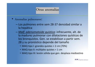 Otras anomalías
• Anomalías pulmonares:
– Los pulmones entre sem 28-37 densidad similar a
la hepática
– Malf. adenomatoide quística: infrecuente, alt. de
la madurez pulmonar con dilataciones quísticas de
los bronquiolos. Gen. se estabilizan a partir sem.
28 y su pronóstico depende del tamaño
• MAQ tipo I: grandes quistes > 2 cm (70%)
• MAQ tipo II: múltiples quistes < 1 cm
• MAQ tipo III: lesión sólida que gen. desplaza mediastino
 