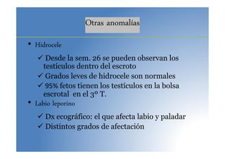 Otras anomalías
• Hidrocele
 Desde la sem. 26 se pueden observan los
testículos dentro del escroto
 Grados leves de hidrocele son normales
 95% fetos tienen los testículos en la bolsa
escrotal en el 3º T.
• Labio leporino
 Dx ecográfico: el que afecta labio y paladar
 Distintos grados de afectación
 