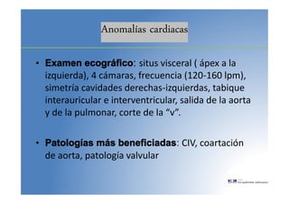 Anomalías cardiacas
• Examen ecográfico: situs visceral ( ápex a la
izquierda), 4 cámaras, frecuencia (120-160 lpm),
simetría cavidades derechas-izquierdas, tabique
interauricular e interventricular, salida de la aorta
y de la pulmonar, corte de la “v”.
• Patologías más beneficiadas: CIV, coartación
de aorta, patología valvular
 