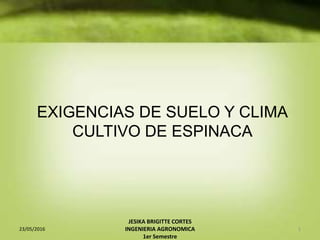 EXIGENCIAS DE SUELO Y CLIMA
CULTIVO DE ESPINACA
23/05/2016
JESIKA BRIGITTE CORTES
INGENIERIA AGRONOMICA
1er Semestre
1
 