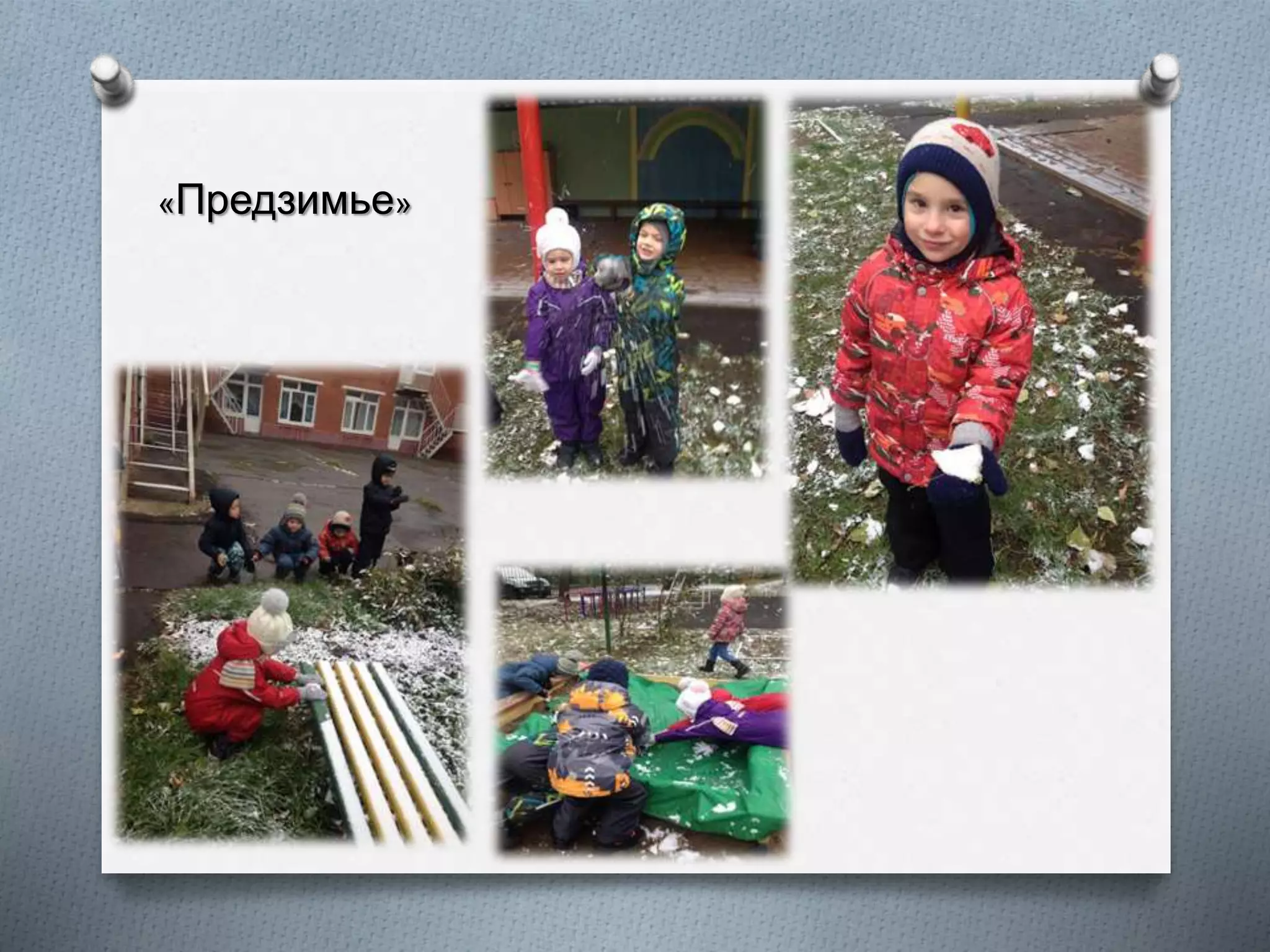 «Предзимье»
 