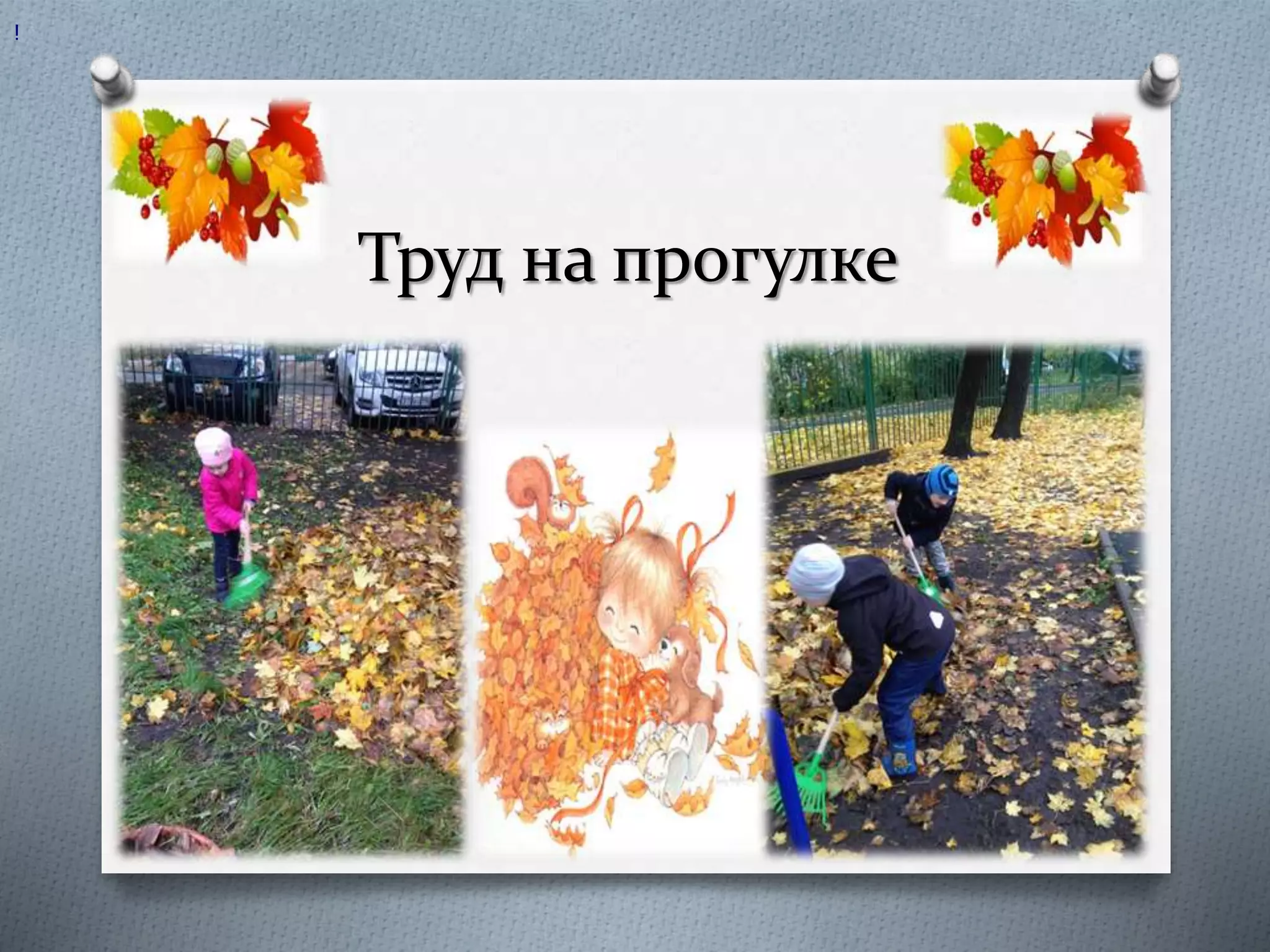 Труд на прогулке
!
 