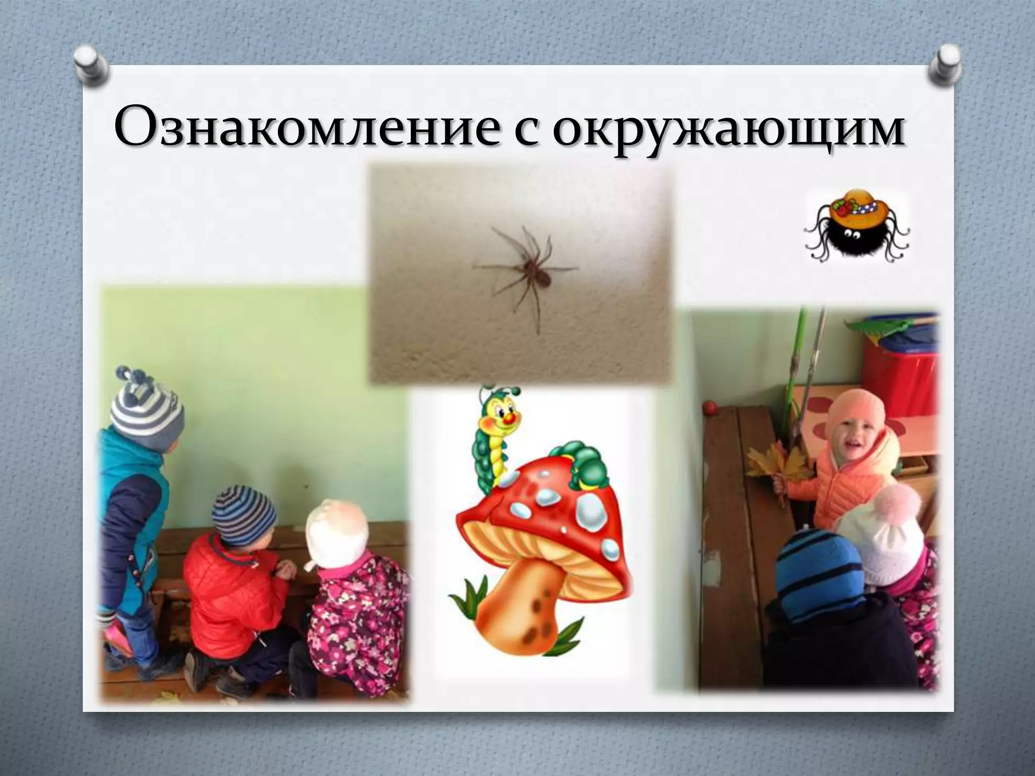 Ознакомление с окружающим
 