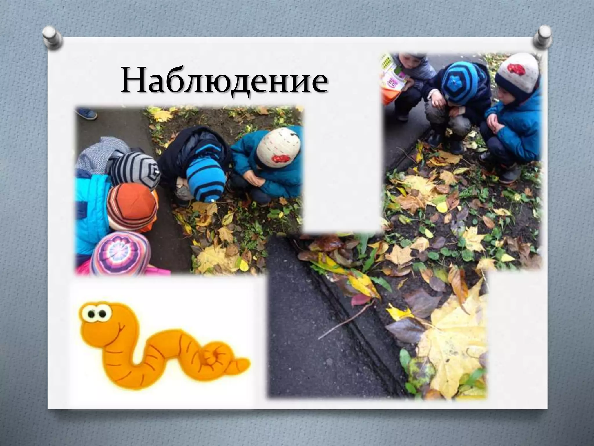 Наблюдение
 