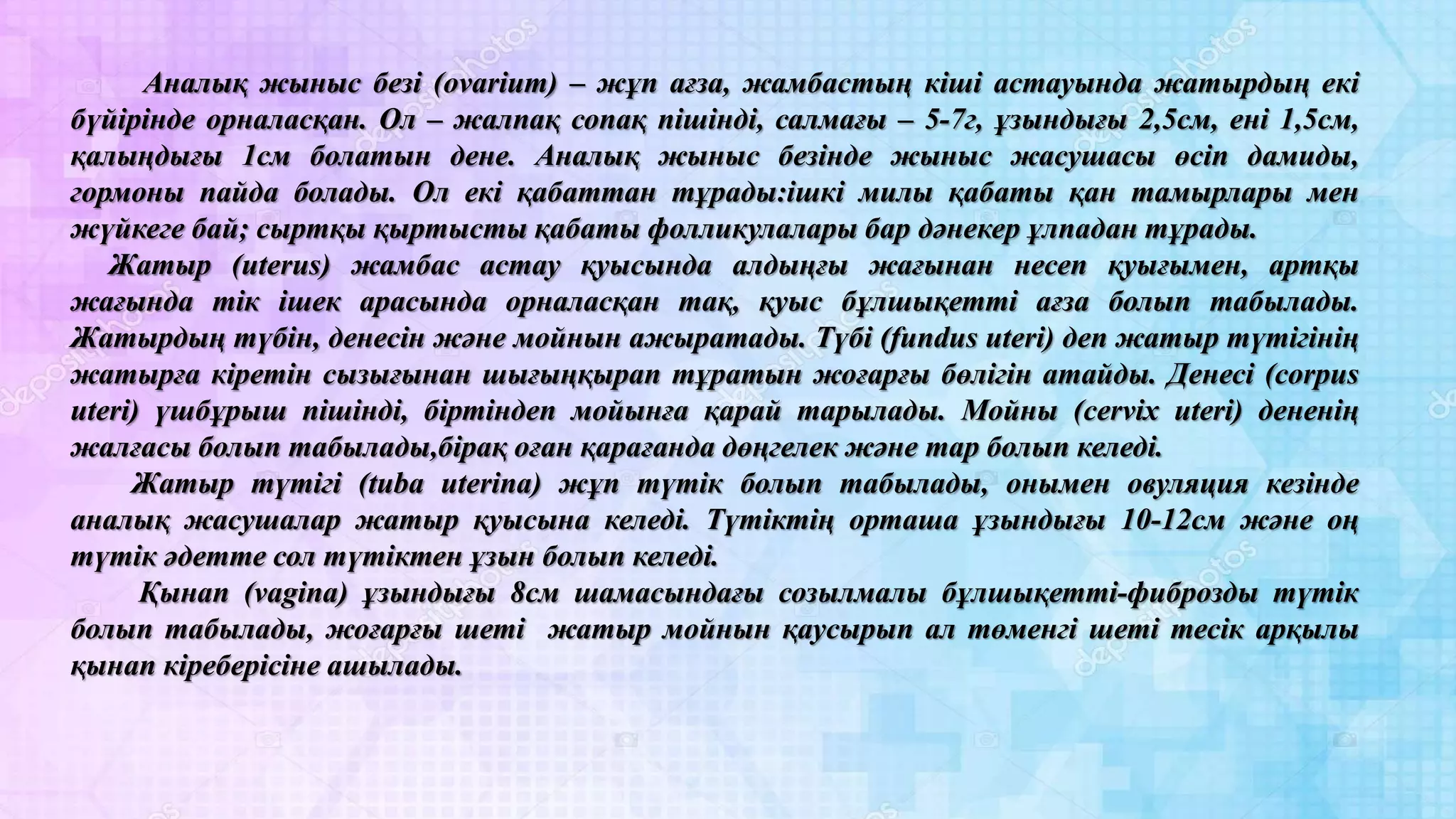 Вязникидегі жезөкшелер, жезөкшелер және тәуелсіз эскорттар