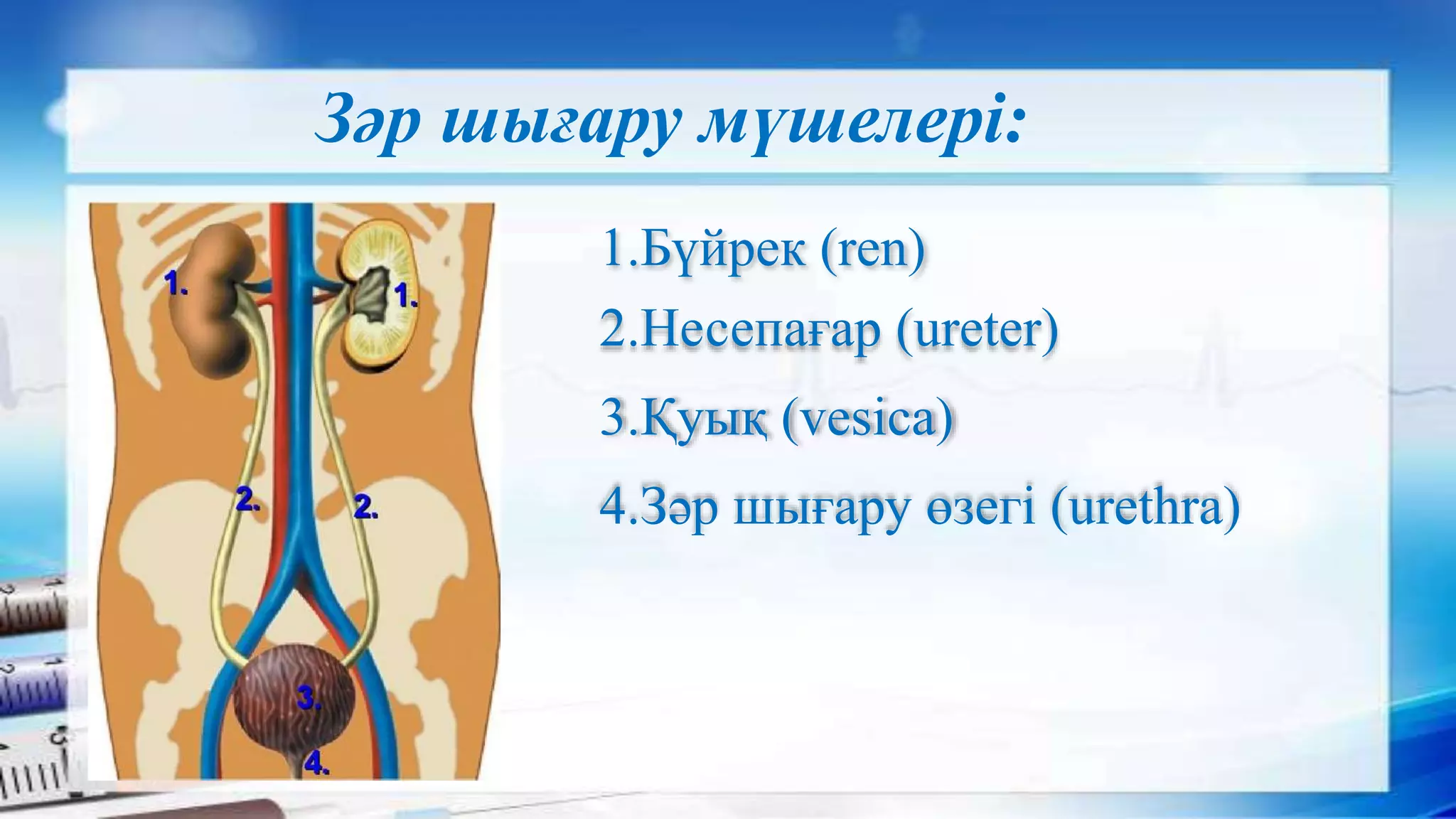 Эротикалық бейнені қараңыз