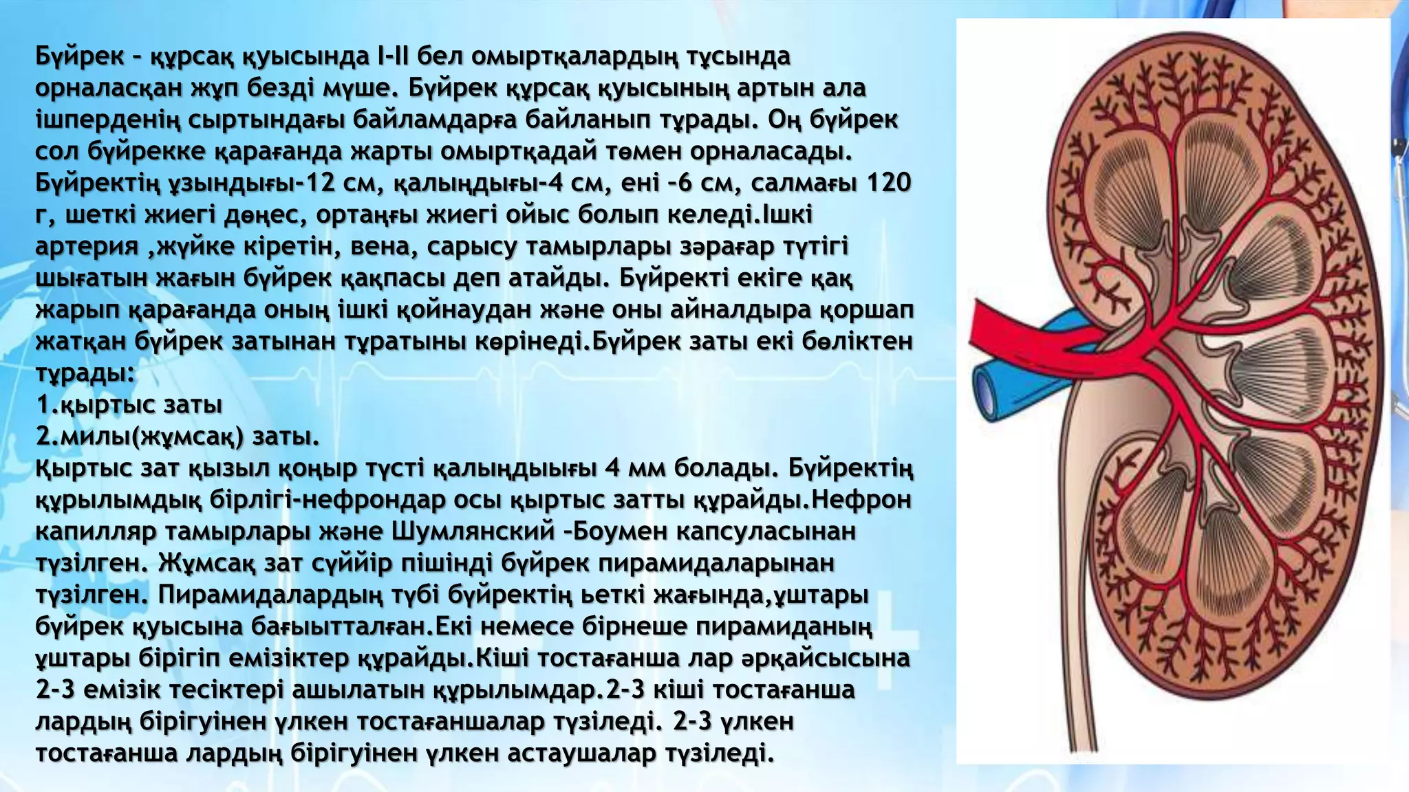 Догги стиліндегі жалаңаш есектердің порно суреттері