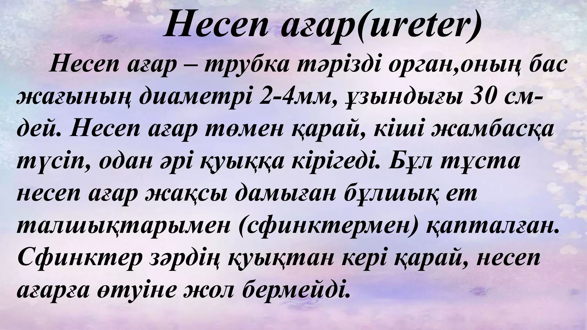 Жалаңаш Томас Антония Студент жыныстық қатынас үшін жігітпен пәтер жалдап тұрады.