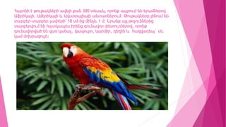 Հայտնի է թութակների ավելի քան 300 տեսակ, որոնք ապրում են երամներով
Աֆրիկայի, Ամերիկայի և Ավստրալիայի անտառներում: Թութակները լինում են
տարբեր-տարբեր չափերի՝ 18 սմ-ից մինչև 1 մ: Նրանք այլ թռչուններից
տարբերվում են հատկապես իրենց գունավոր փետուրներով, որոնք
գունավորված են վառ կանաչ, կապույտ, կարմիր, դեղին և հազվադեպ` սև
կամ մոխրագույն:
 