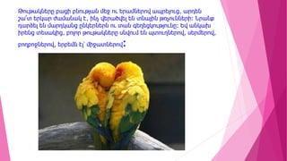 Թութակները բացի բնության մեջ ու երամներով ապրելուց, արդեն
շա՜տ երկար ժամանակ է, ինչ վերածվել են տնային թռչունների: Նրանք
դարձել են մարդկանց ընկերներն ու տան գեղեցկությունը: Եվ անկախ
իրենց տեսակից, բոլոր թութակները սնվում են պտուղներով, սերմերով,
բողբոջներով, երբեմն էլ՝ միջատներով:
 