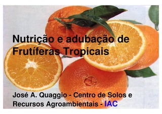 Nutrição e adubação de
Frutíferas Tropicais



José A. Quaggio - Centro de Solos e
Recursos Agroambientais - IAC
 