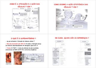 COMO É A ATIVAÇÃO E A AÇÃO DAS                             COMO OCORRE A AÇÃO CITOTÓXICA DAS
                        CÉLULAS T CD8 ?                                      CÉLULAS T CD8 ?




            O QUE É O SUPERANTÍGENO ?                                EM SUMA, QUAIS SÃO AS DIFERENÇAS ?

- Ag que estimulam a formação de inúmeras células T

- Não são processados pelo MHC II       conduz a liberação maciça
de linfócitos desordenadamente      desregulou ação da IL-2

- Toxinas       TSST-1; toxina da síndrome da pele escaldada;
enterotoxina da ECEH (O157:H7); exotoxinas pirogênicas




 Síndrome do
choque tóxico
 