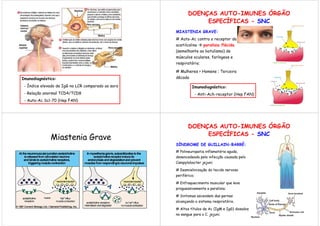 DOENÇAS AUTO-IMUNES ÓRGÃO
                                                                ESPECÍFICAS - SNC
                                                    MIASTENIA GRAVE:
                                                    # Auto-Ac contra o receptor da
                                                    acetilcolina    paralisia flácida
                                                    (semelhante ao botulismo) de
                                                    músculos oculares, faríngeos e
                                                    respiratório;

                                                    # Mulheres > Homens ; Terceira
Imunodiagnóstico:                                   década

 - Índice elevado de IgG no LCR comparado ao soro            Imunodiagnóstico:
 - Relação anormal TCD4/TCD8                                  - Anti-Ach-receptor (Hep FAN)
 - Auto-Ac Scl-70 (Hep FAN)




                                                           DOENÇAS AUTO-IMUNES ÓRGÃO
                                                                ESPECÍFICAS - SNC
              Miastenia Grave
                                                    SÍNDROME DE GUILLAIN-BARRÉ:
                                                    # Polineuropatia inflamatória aguda,
                                                    desencadeada pela infecção causada pelo
                                                    Campylobacter jejuni;

                                                    # Desmielinização do tecido nervoso
                                                    periférico;

                                                    # Enfraquecimento muscular que leva
                                                    proguessivamente a paralisia;

                                                    # Sintomas ascendem das pernas
                                                    alcançando o sistema respiratório.

                                                    # Altos títulos de Ac (IgM e IgG) dosados
                                                    no sangue para o C. jejuni;
 