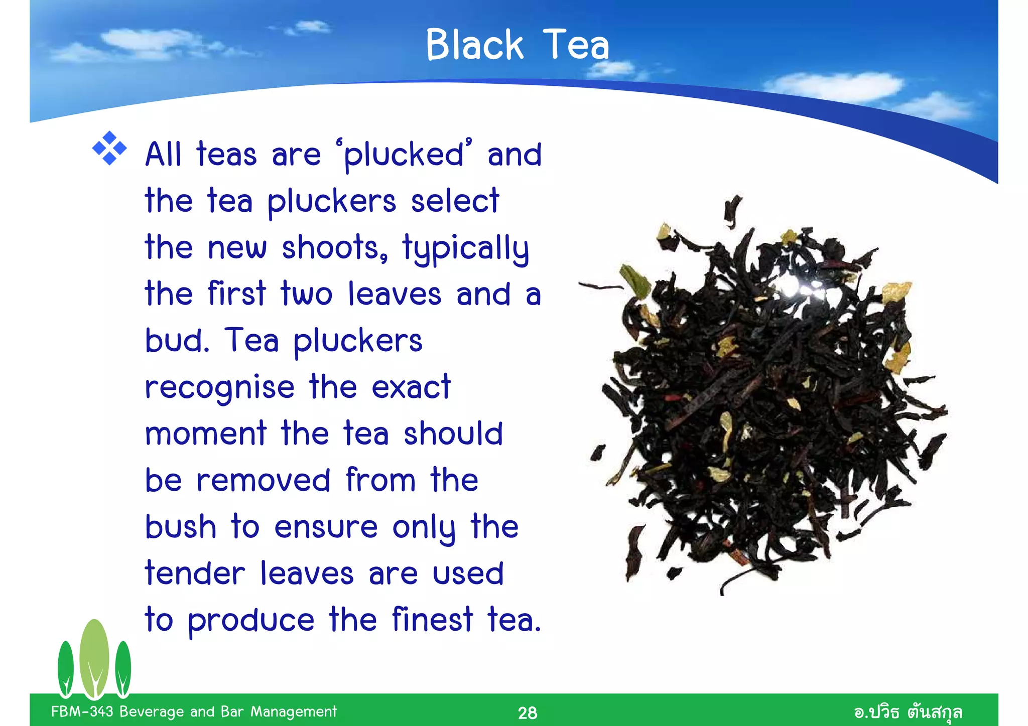 Black Tea
           All teas are ‘plucked’ and
           the tea pluckers select
           the new shoots, typically
           the first two leaves and a
           bud. Tea pluckers
           recognise the exact
           moment the tea should
           be removed from the
           bush to ensure only the
           tender leaves are used
           to produce the finest tea.
FBM-343 Beverage and Bar Management       28      .
 