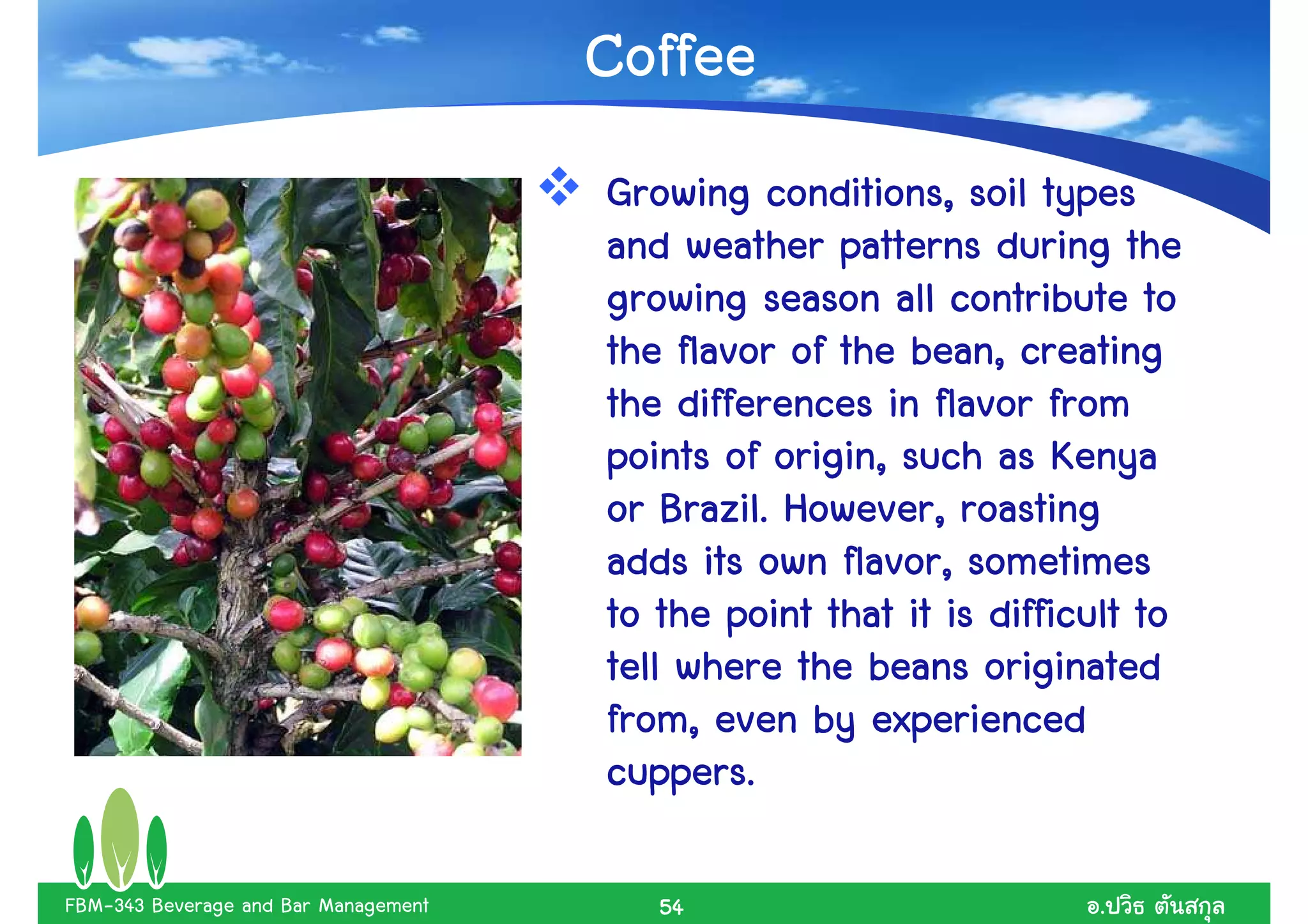 Coffee
                                      Growing conditions, soil types
                                      and weather patterns during the
                                      growing season all contribute to
                                      the flavor of the bean, creating
                                      the differences in flavor from
                                      points of origin, such as Kenya
                                      or Brazil.. However, roasting
                                          Brazil
                                      adds its own flavor, sometimes
                                      to the point that it is difficult to
                                      tell where the beans originated
                                      from, even by experienced
                                      cuppers.
                                      cuppers.

FBM-343 Beverage and Bar Management      54                         .
 