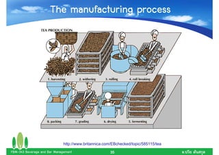 The manufacturing process




                              http://www.britannica.com/EBchecked/topic/585115/tea
FBM-343 Beverage and Bar Management                   35                             .
 